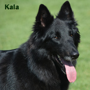 Kala Portrait